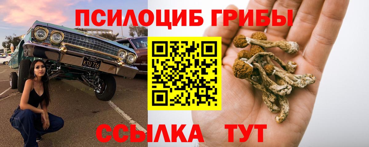 Псилоцибиновые грибы Magic Shrooms Алексеевка
