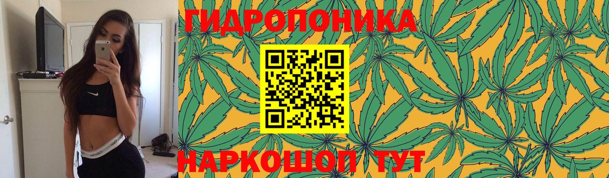 Конопля марихуана Алексеевка